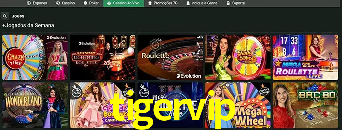 tigervip bet